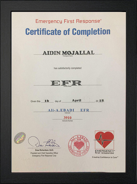 aidin3